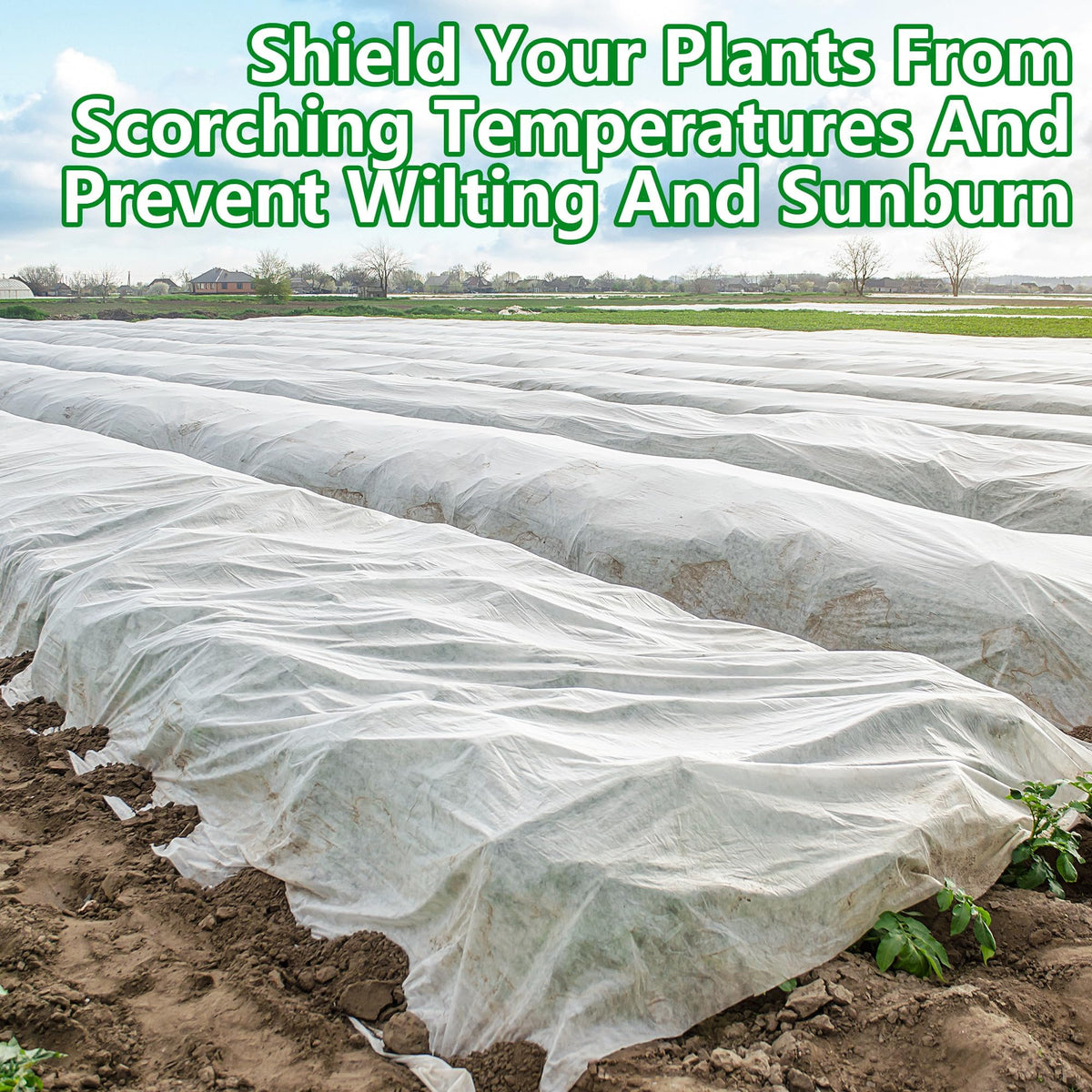 DECOHS shade cloth protecting a vegetable row in sun.