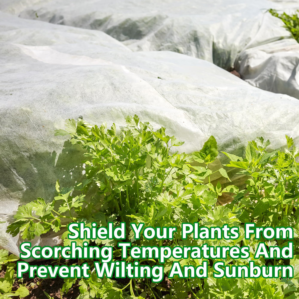DECOHS shade cloth reduces UV exposure for crops