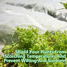 DECOHS shade cloth reduces UV exposure for crops