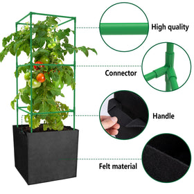 DECOHS three-pack garden cages provide ample space for vigorous vertical growth.