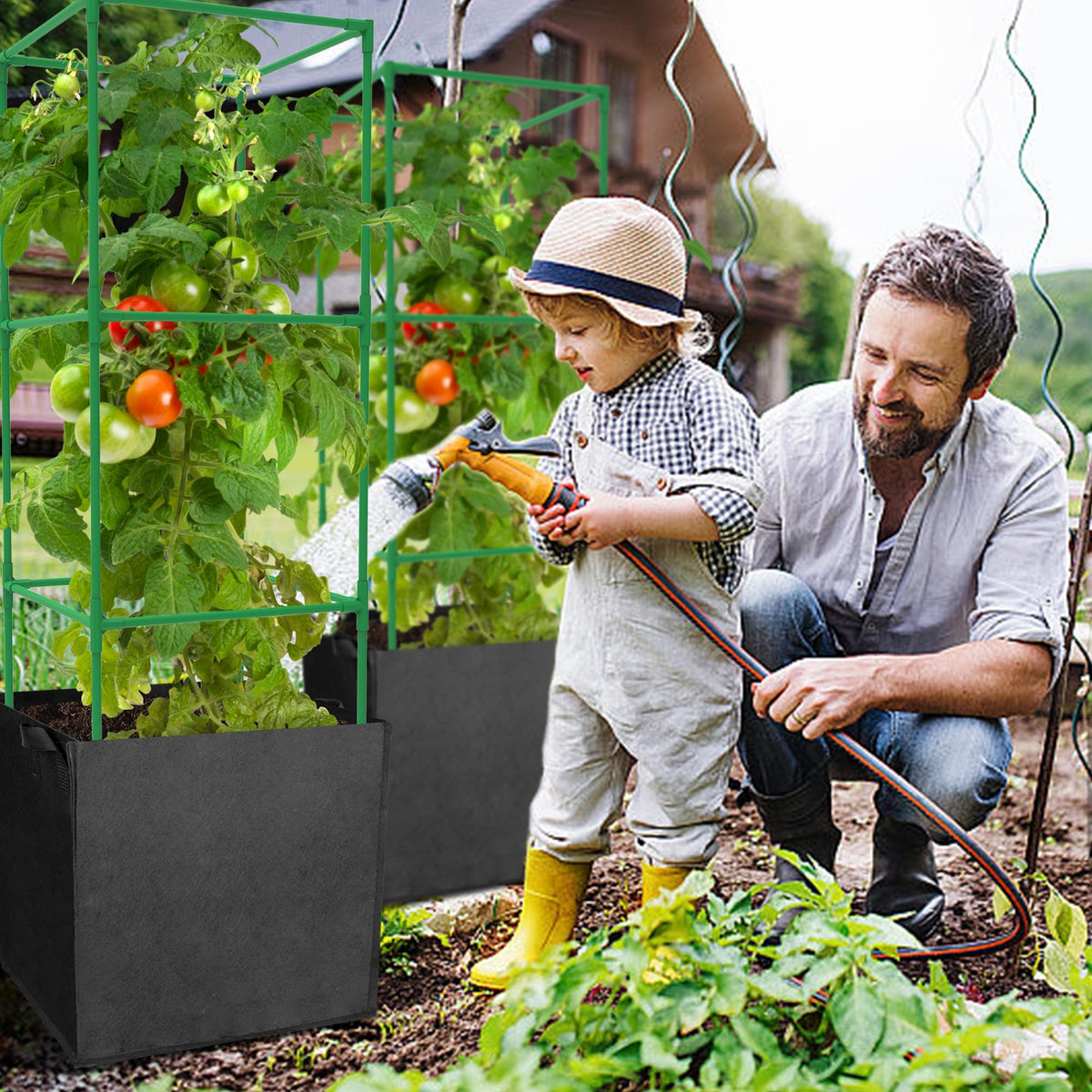 DECOHS vertical climbing plants receive reliable support and airflow.