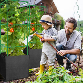 DECOHS vertical climbing plants receive reliable support and airflow.