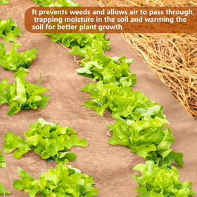 DECOHS barrier application in lawn and vegetable garden for weed suppression