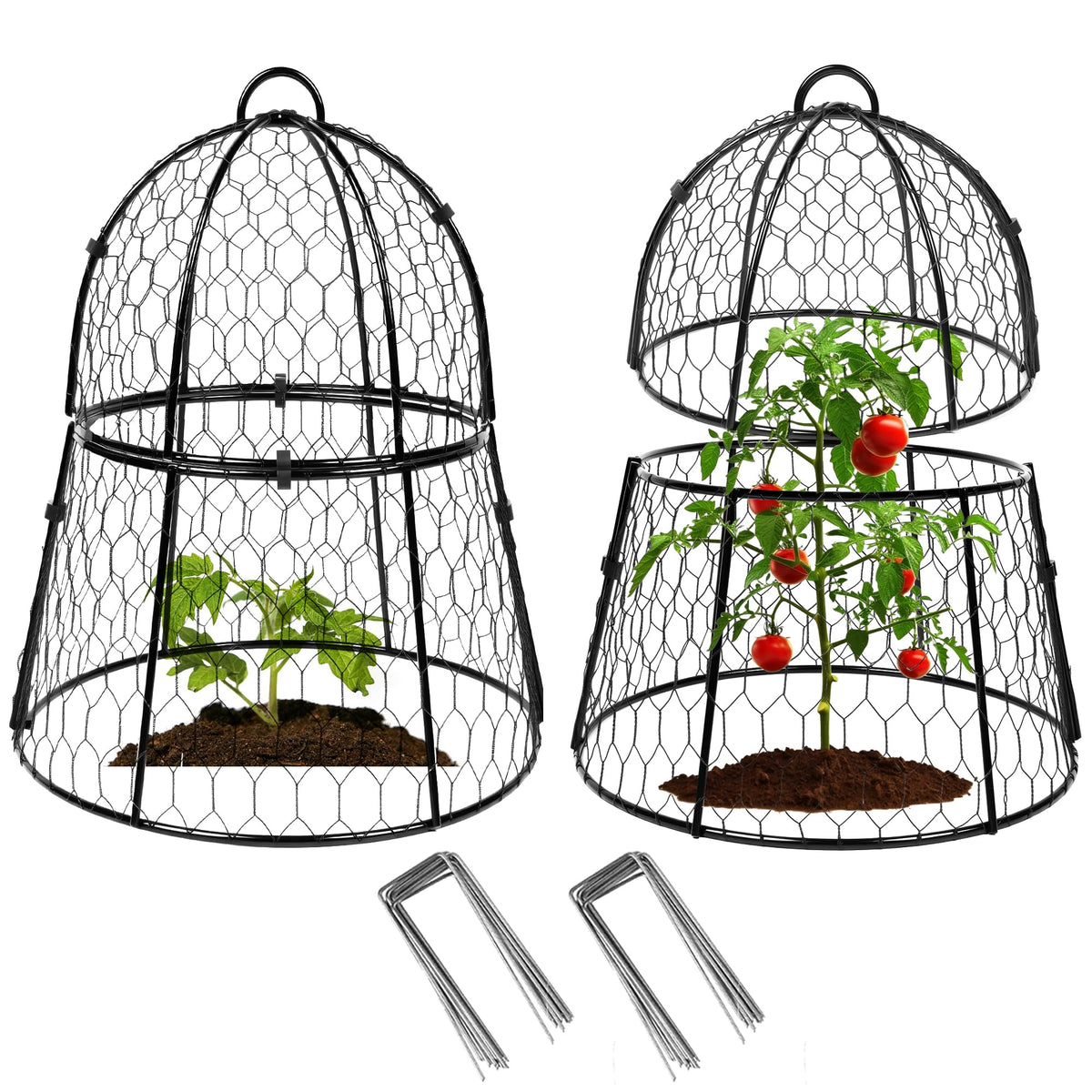 Decoroca garden cloche top dome protects seedlings from animals while allowing light.