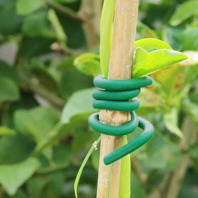 Decoroca rubber coated ties protect delicate stems and vines