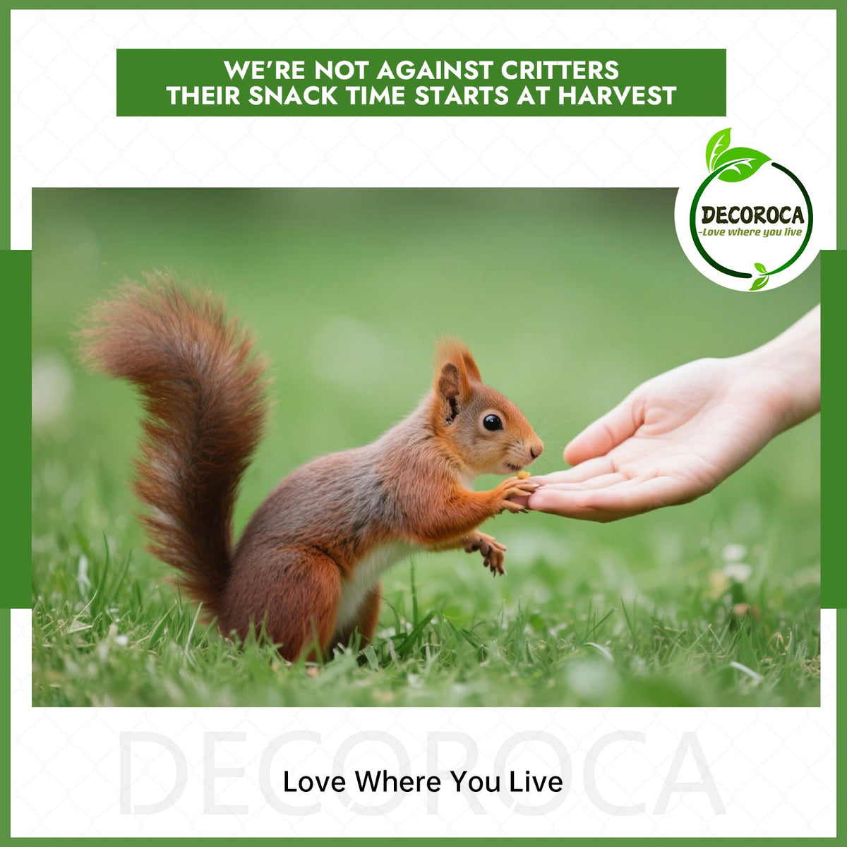 Decoroca rust-proof steel construction guards veggies outdoors.