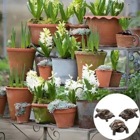 DecoVista tortoise resin pot feet lift pots to aid cleaning and airflow.