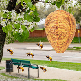 DECYOOL orange nest near pool area helps keep buzzing away.