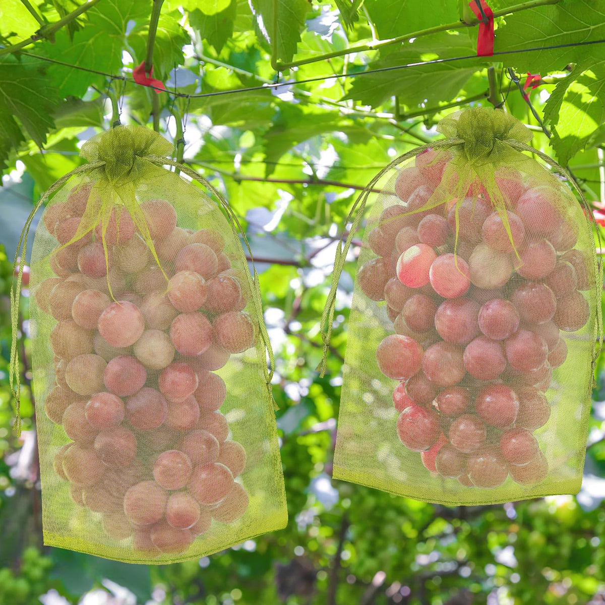 DECYOOL 120-piece pack for covering many fruits in a garden or orchard