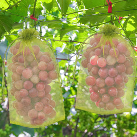 DECYOOL 120-piece pack for covering many fruits in a garden or orchard