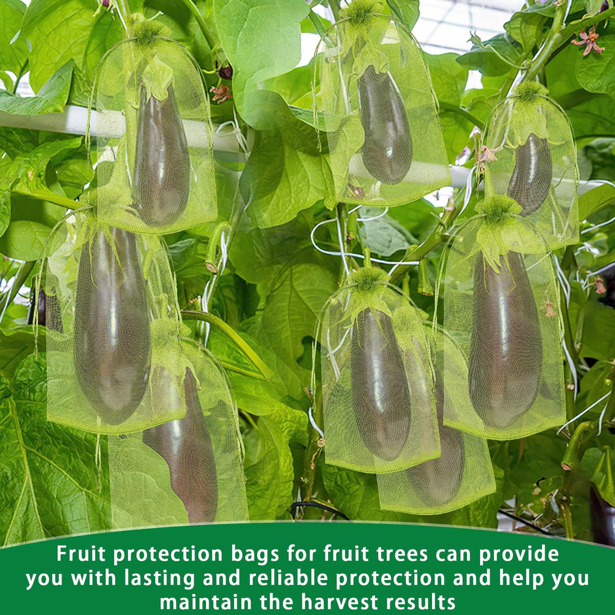 DECYOOL bags deterring birds and pests while fruit remains protected