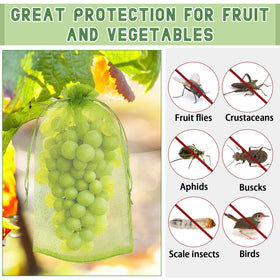 DECYOOL breathable mesh fruit cover letting light and air reach fruit
