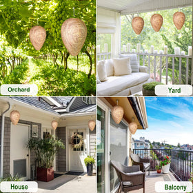 DECYOOL Six-pack installation offers broader wasp deterrence