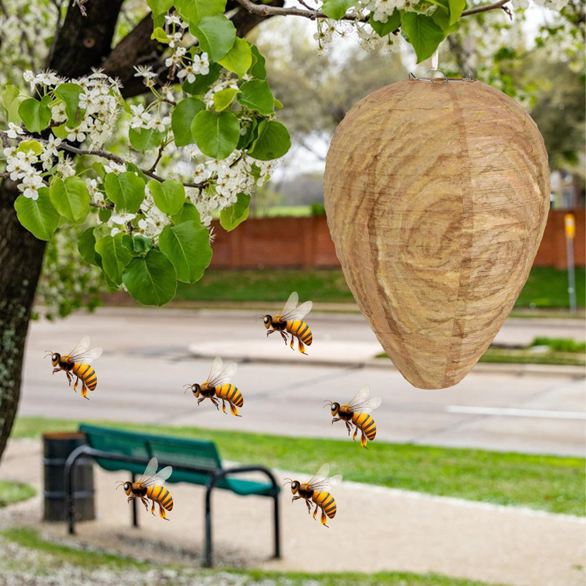 DECYOOL tree canopy placement provides territorial cues to wasps.