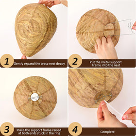 Decyool paper nest in dark brown blends with exterior and discourages wasps nearby.