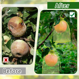 DECYOOL reusable fruit bags after harvest, ready for cleaning
