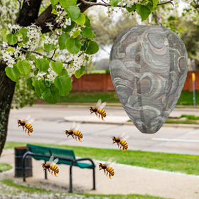 DECYOOL 8.5-inch diameter decoy offers clear visibility from a distance.