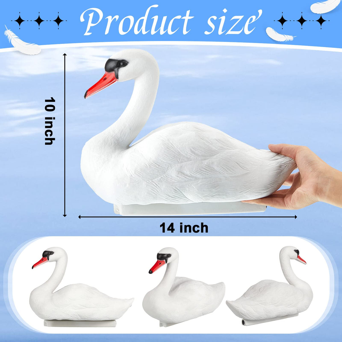 Deekin swan decoy hollow body design provides buoyancy and clear viewing.