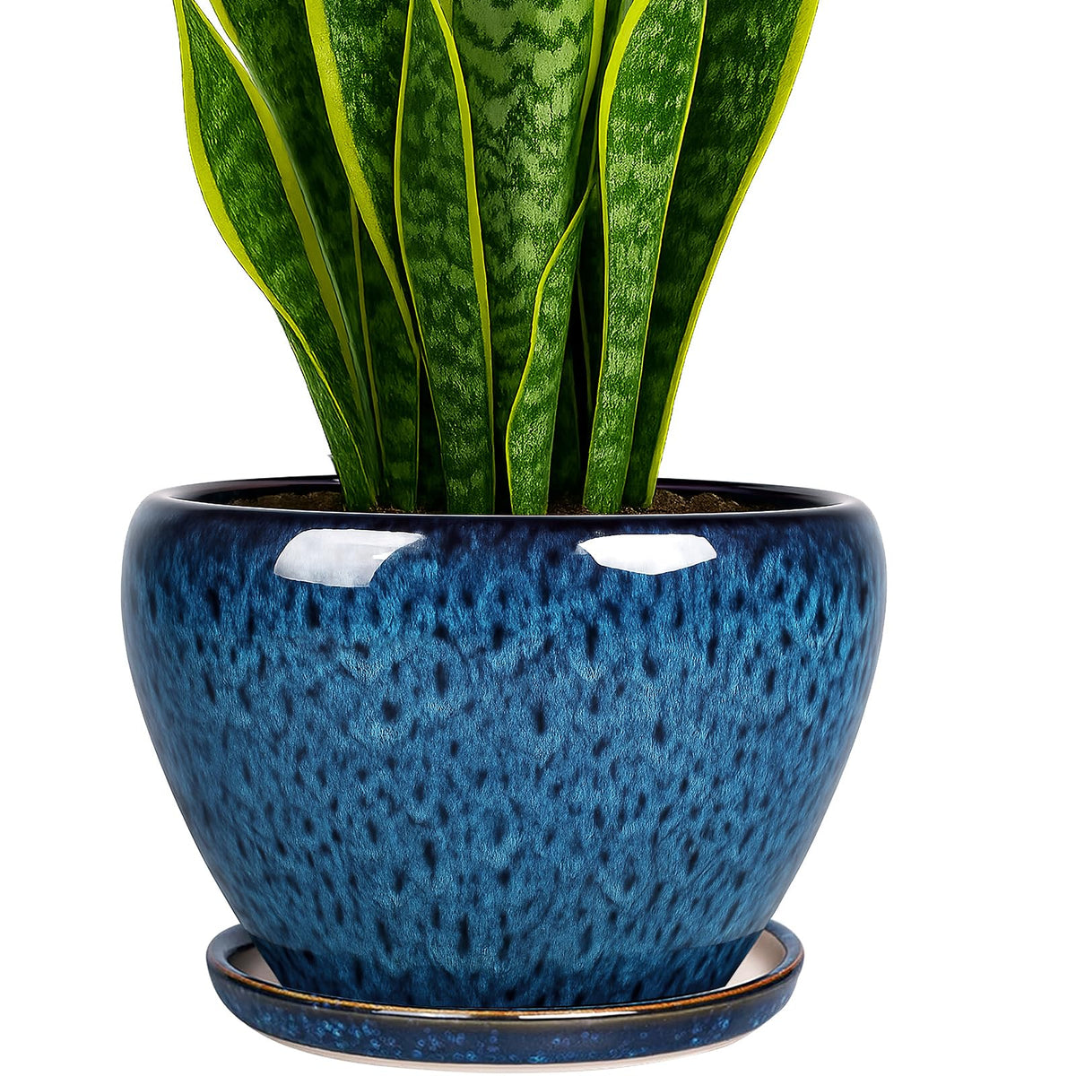 Deep Dream peacock blue 8 inch pot with drainage for healthy roots