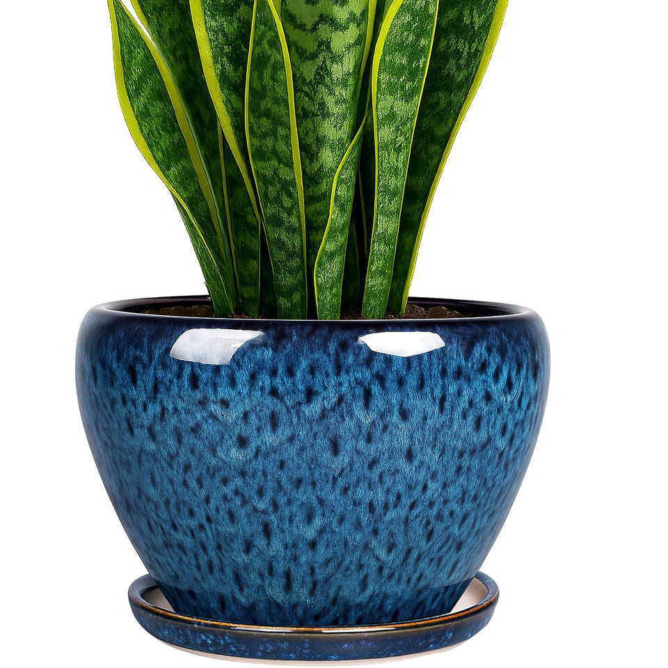 Deep Dream peacock blue 8 inch pot with drainage for healthy roots