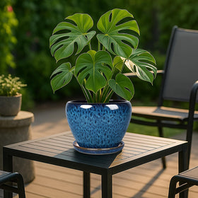 Deep Dream drainage hole ceramic pot supports proper watering