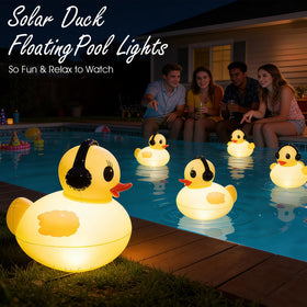 DeeprBetter inflatable solar duck light set up for ponds or pools