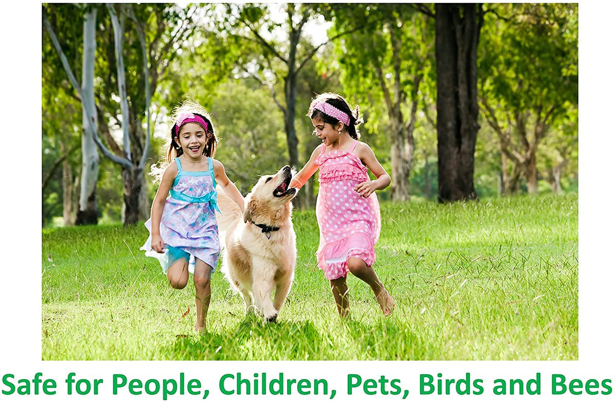 Deepthi Pure Neem Oil garden scene promoting natural pest management.