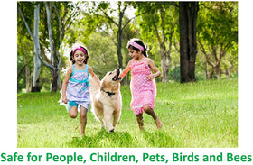 Deepthi Pure Neem Oil garden scene promoting natural pest management.