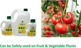 Deepthi Pure Neem Oil on rose leaves for healthier foliage.