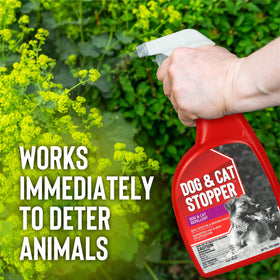Deer Stopper Animal Stopper Liquid applied to garden edges providing up to 30 days deterrence