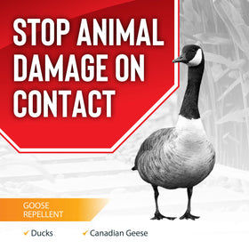 Deer Stopper Goose Stopper spray mist application deters geese from foraging