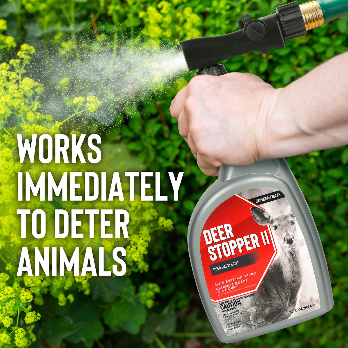 Deer Stopper II concentrate mixing in water enables versatile, cost-effective application.