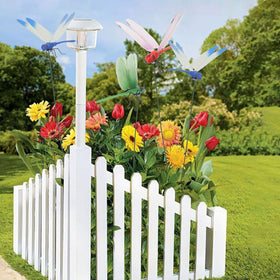 Defemim dragonfly hummingbird stake brightens the yard while deterring pests.