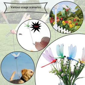 Deiksuir dragonfly clip hat accessory for stylish outdoor wear and breeze-friendly action.