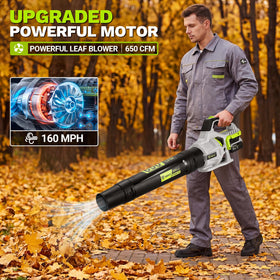 DEKOPRO leaf blower dual-speed control for light dust or heavy piles