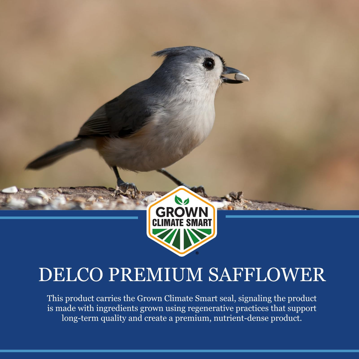 DeLco platform feeder with safflower seed for clean feeding