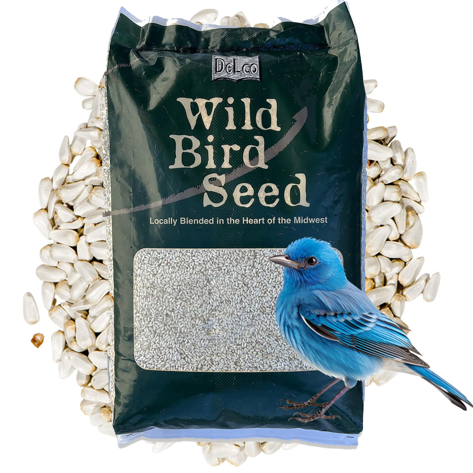 DeLco premium safflower seed 20lb bag shows clean quality ideal for cardinals and finches