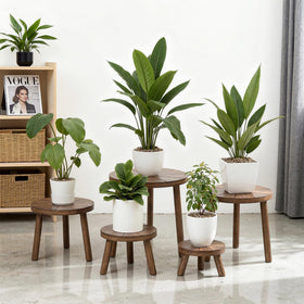 Delma wood plant stand assembly demo shows tool-free setup in under a minute.