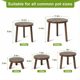 Delma wood plant stand M side view combines style with practical height options.
