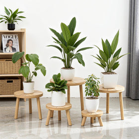 Delma wood plant stands on balcony edge enhancing greenery and texture