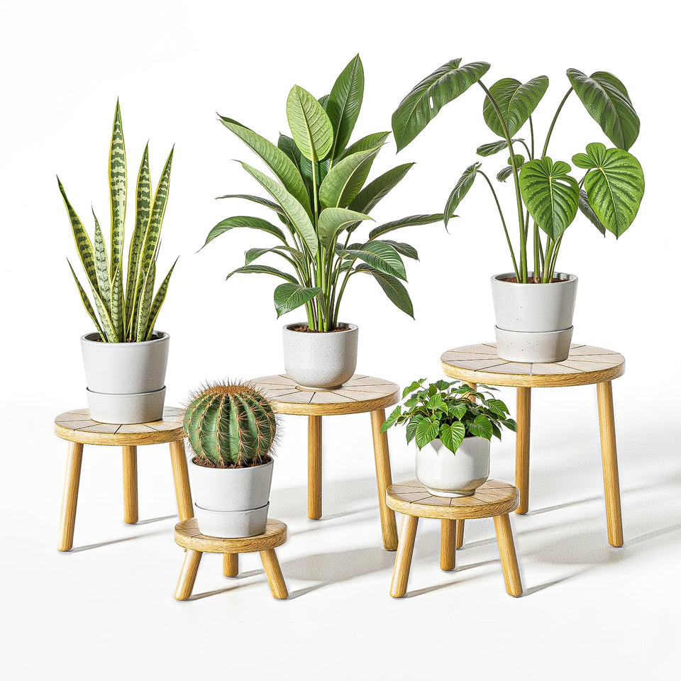 Delma wood plant stands indoor five-pack displaying 6-12 inch pots with mid-century style