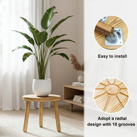 Delma wood plant stands XS to XL heights arranged for versatile indoor display