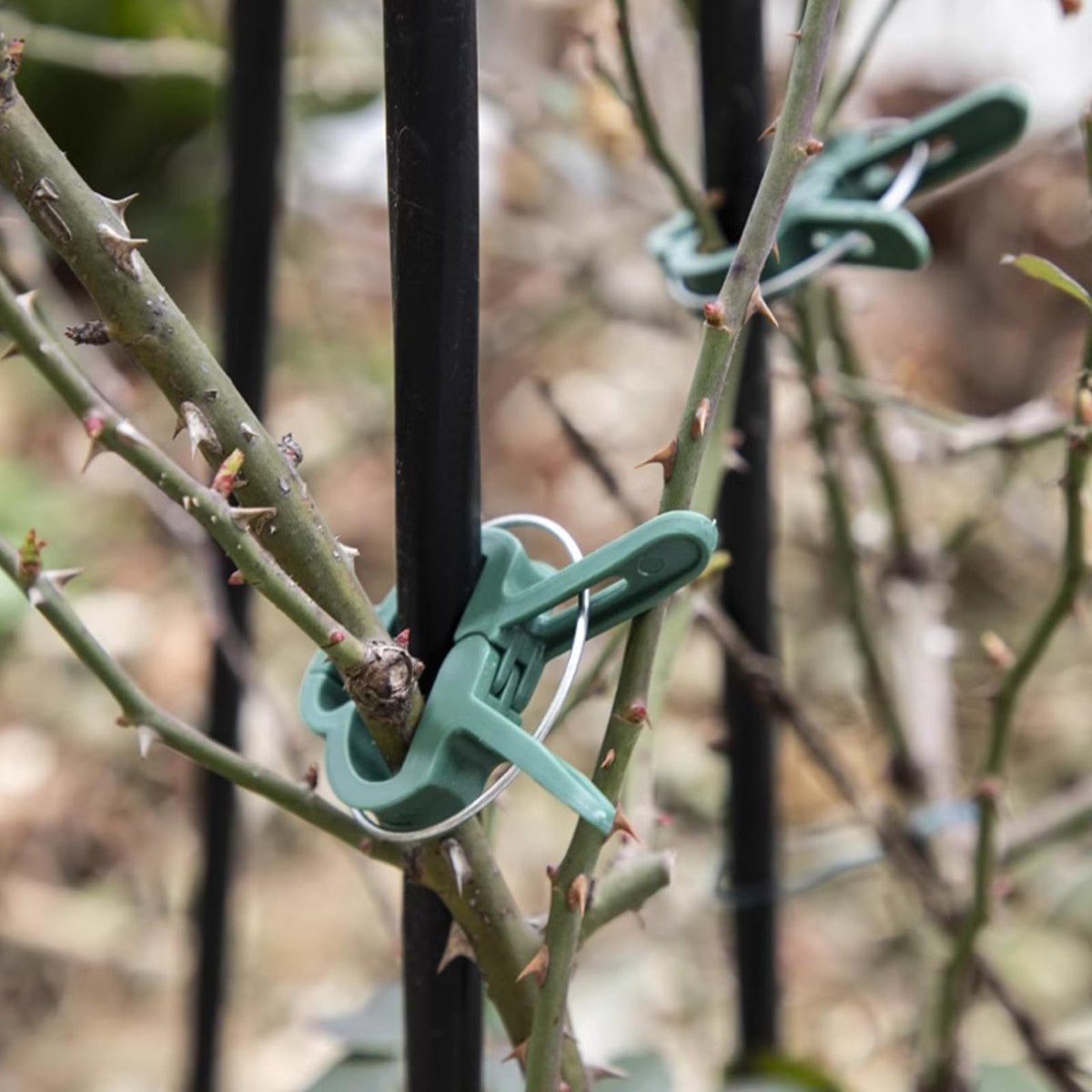 Delphinus durable steel-wire clips showing rust-resistant construction