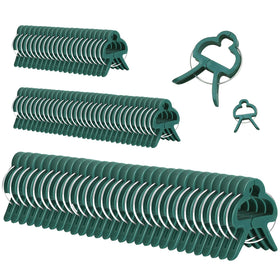 Delphinus large clips in hand showing secure stem support for sturdy growth