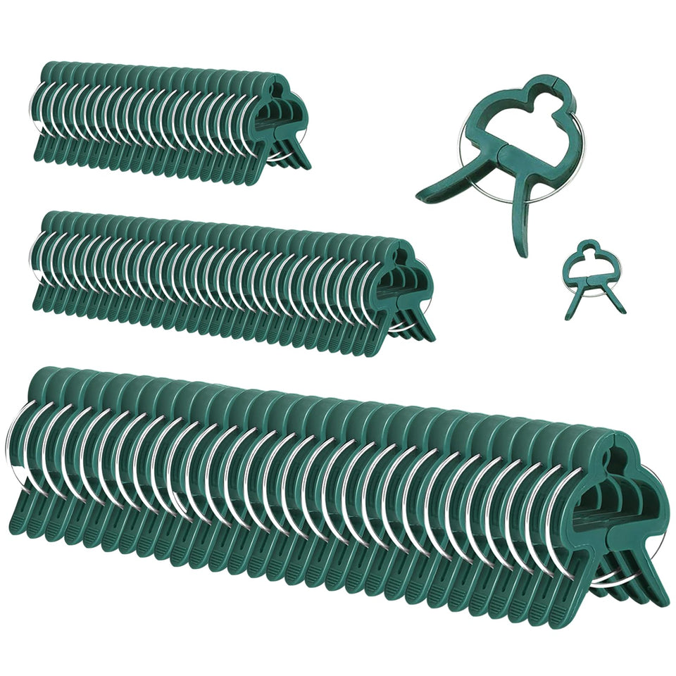 Delphinus large clips in hand showing secure stem support for sturdy growth