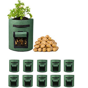 Delxo 10 gallon grow bag with window for easy harvest and access.