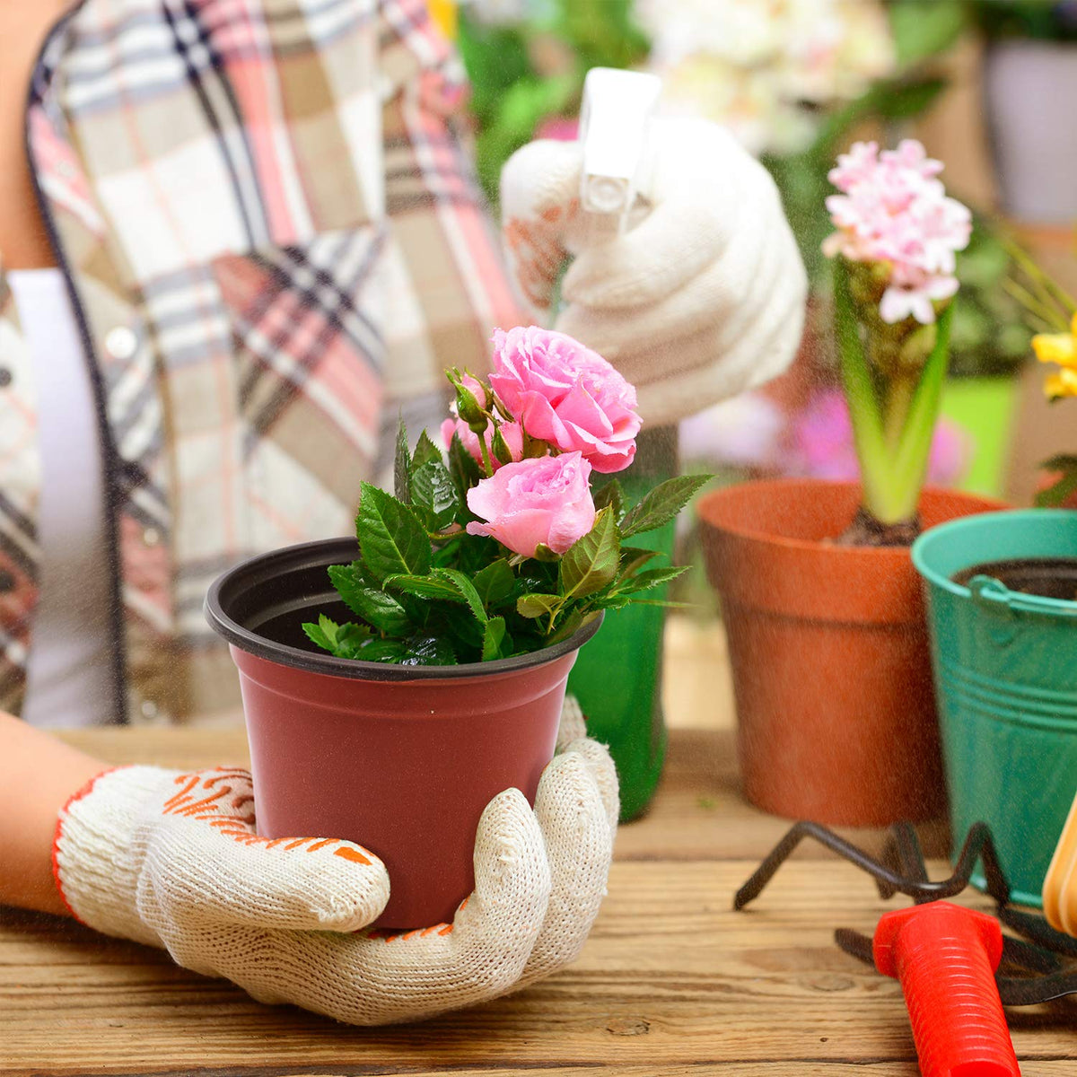 Delxo 4-inch red nursery pot with drip tray to catch excess water.