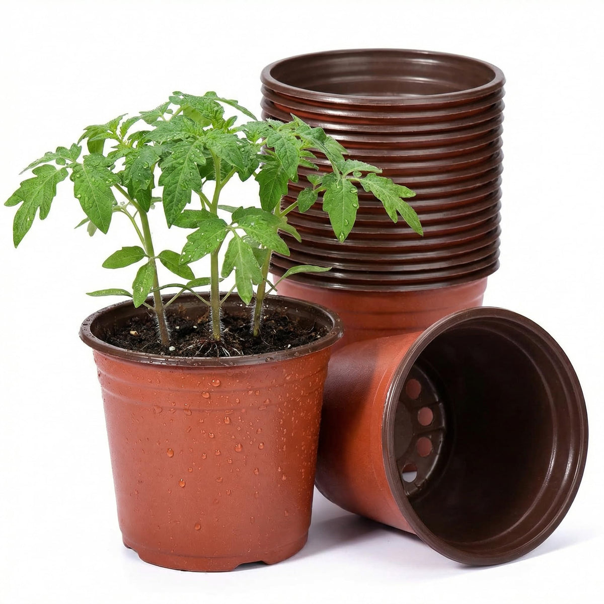 Delxo 50-pack 6in nursery pot red top view, ideal for seed starting.