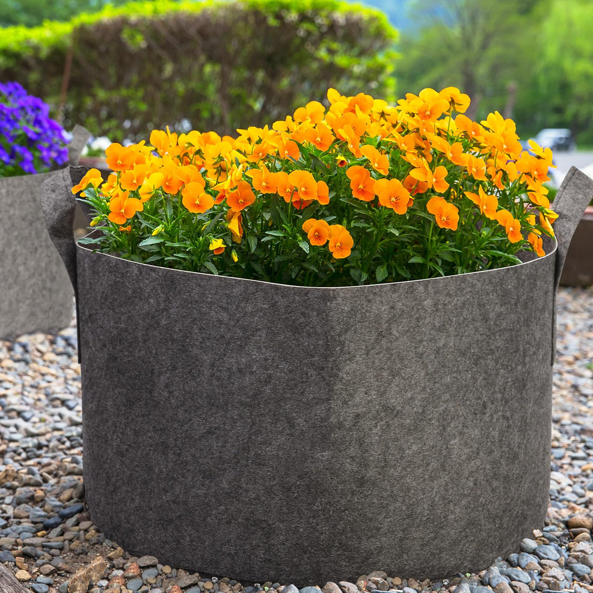 Delxo sturdy, tear-resistant grow bags are easy to clean and reuse.