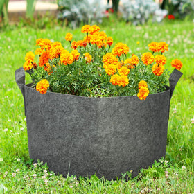 Delxo eco-friendly container gardening solution reduces plastic waste.